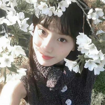阴羚海报